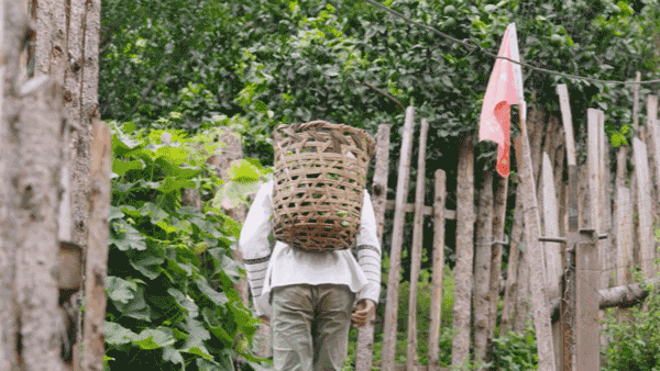这十年，那些难忘的奋斗故事｜再见，阿土列尔村
