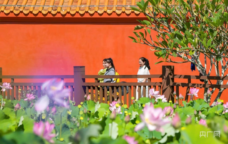 【大时代】海口：“软硬兼备”产兴民富环境美 “内外兼修”奋楫逐梦自贸港