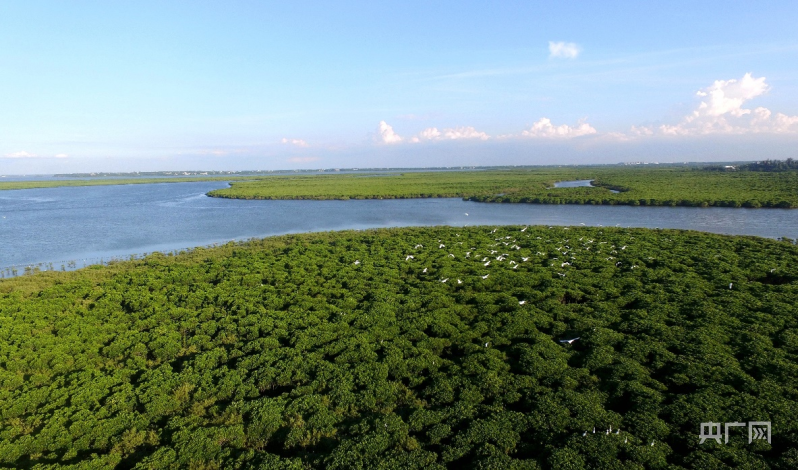 【大时代】海口：“软硬兼备”产兴民富环境美 “内外兼修”奋楫逐梦自贸港