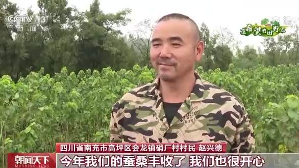 全国秋粮收获4.48亿亩 河南油料作物喜获丰收