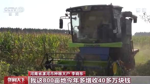 全国秋粮收获4.48亿亩 河南油料作物喜获丰收