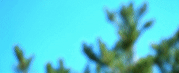 奔向美好生活｜茁壮地成长