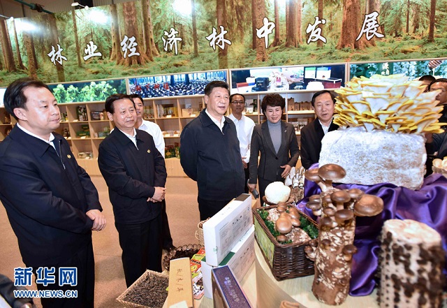 跟着总书记看中国｜小康路上新生活