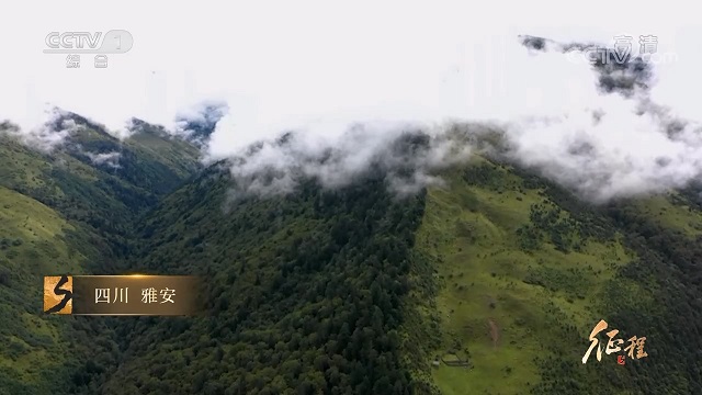 大型纪录片《征程》｜第十四集 民声的回响