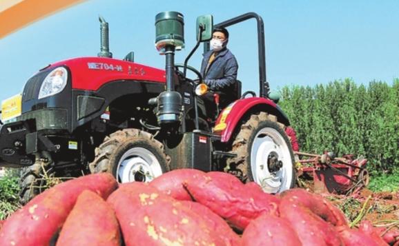 黄金周的N种打开方式丨多彩金秋 采撷美好