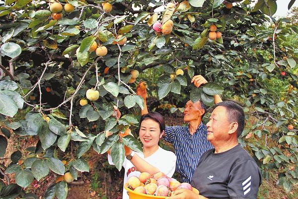 黄金周的N种打开方式丨多彩金秋 采撷美好