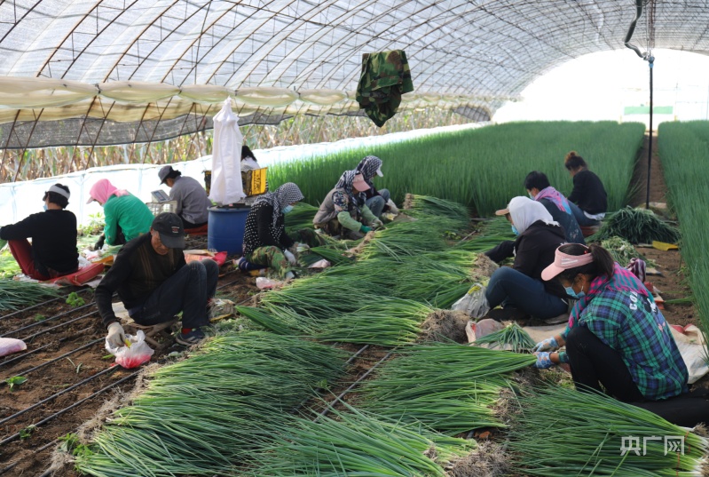 【大时代】长春：现代农业擦亮“粮食芯片” 科技创新驱动“汽车强国”