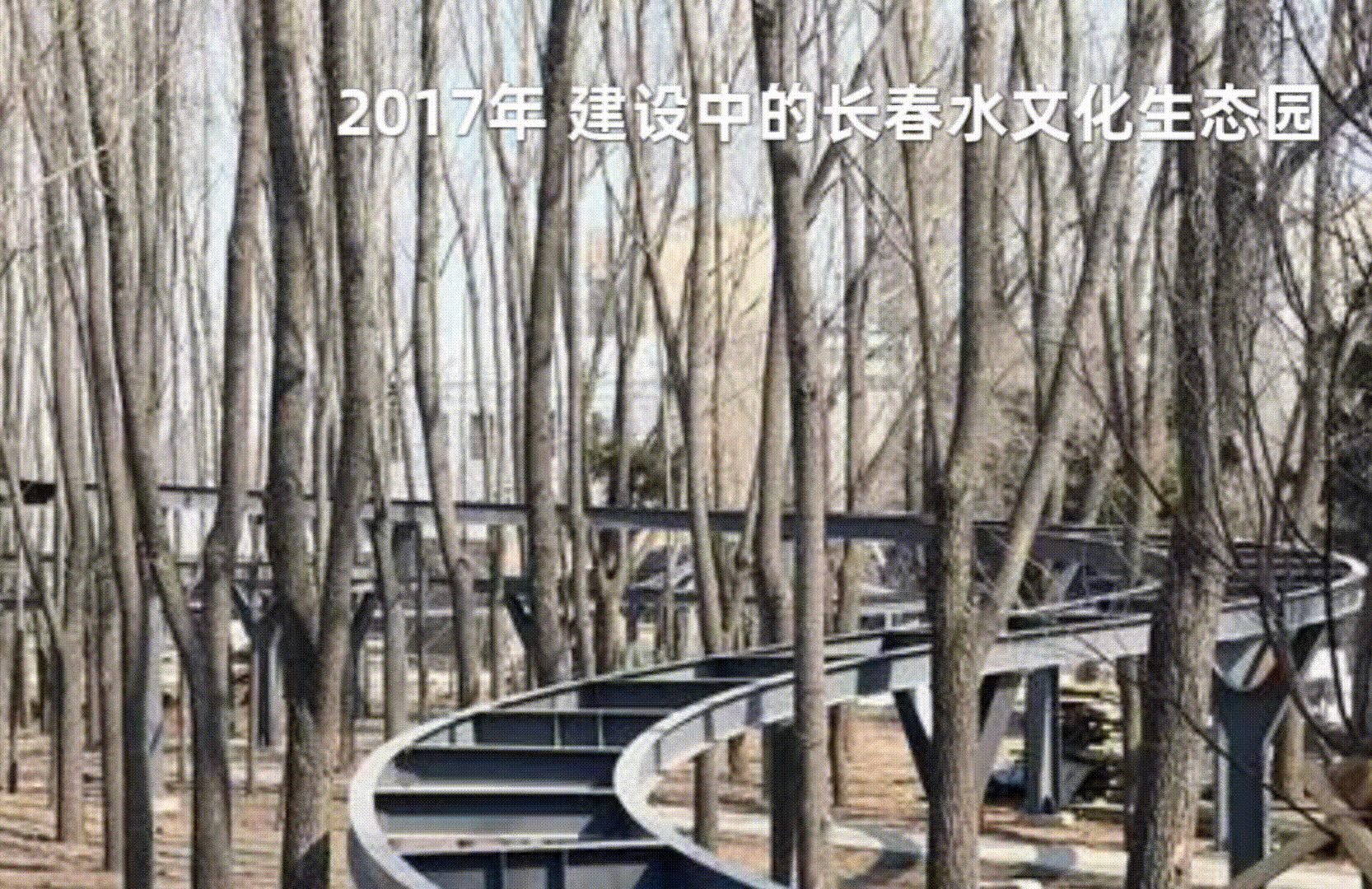 【大时代】长春：现代农业擦亮“粮食芯片” 科技创新驱动“汽车强国”