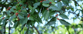 奔向美好生活|稳稳的幸福