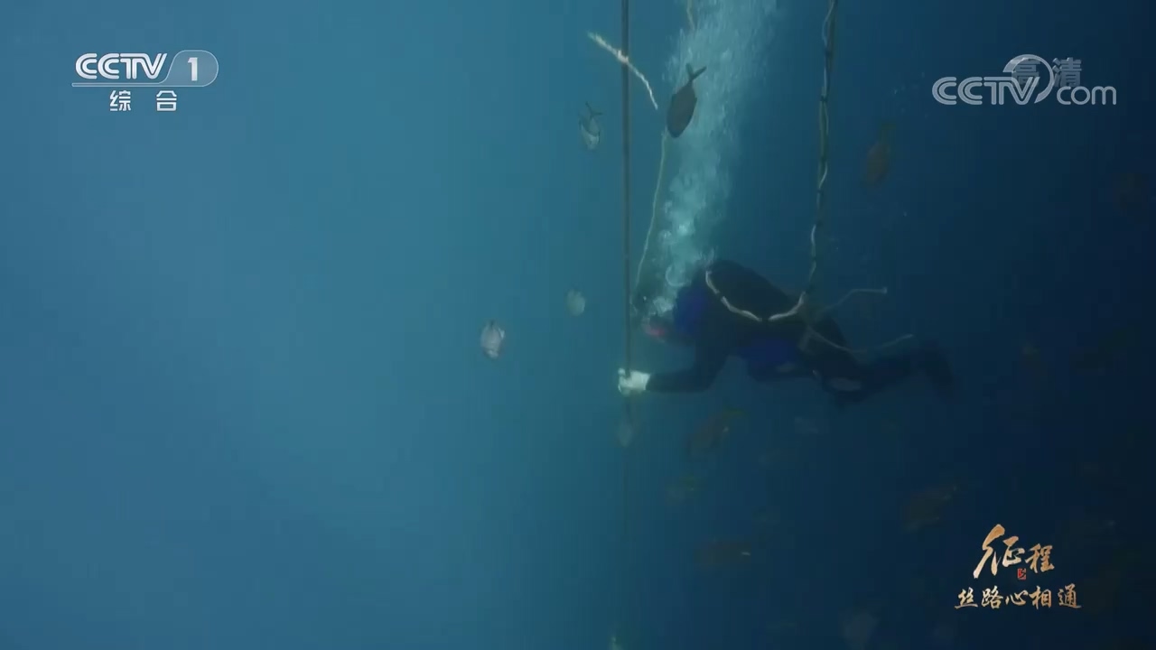 大型纪录片《征程》|第二十集 丝路心相通