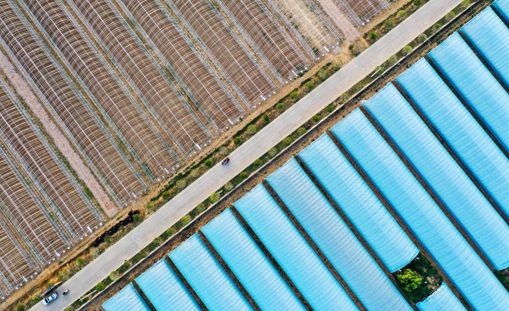 央媒观豫 | 搬出库区筑新村——探访南水北调中线工程移民村
