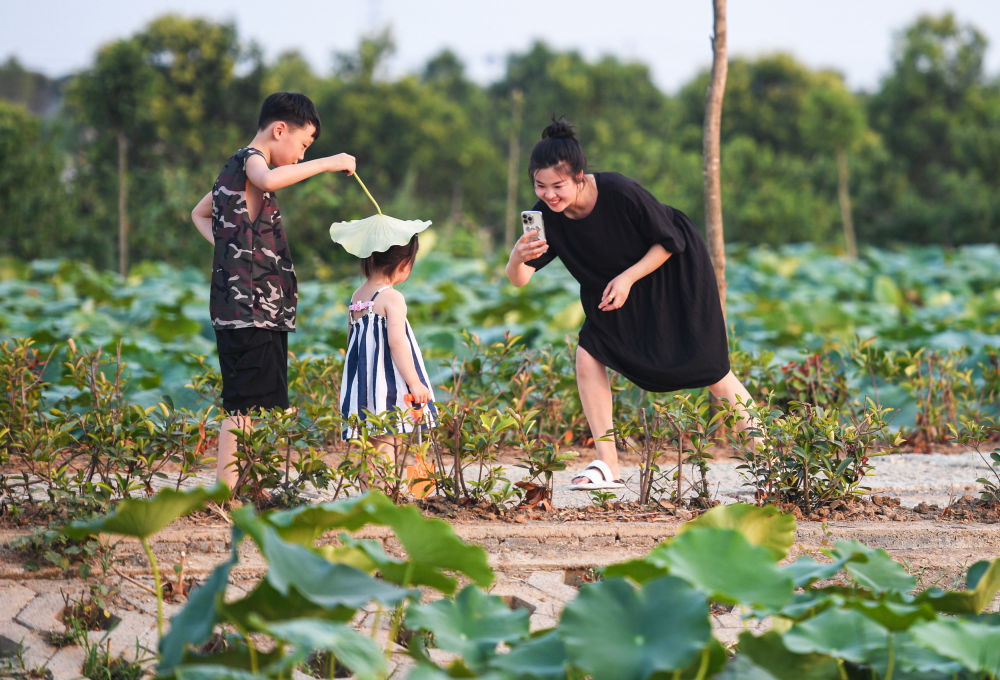 央媒观豫 | 搬出库区筑新村——探访南水北调中线工程移民村