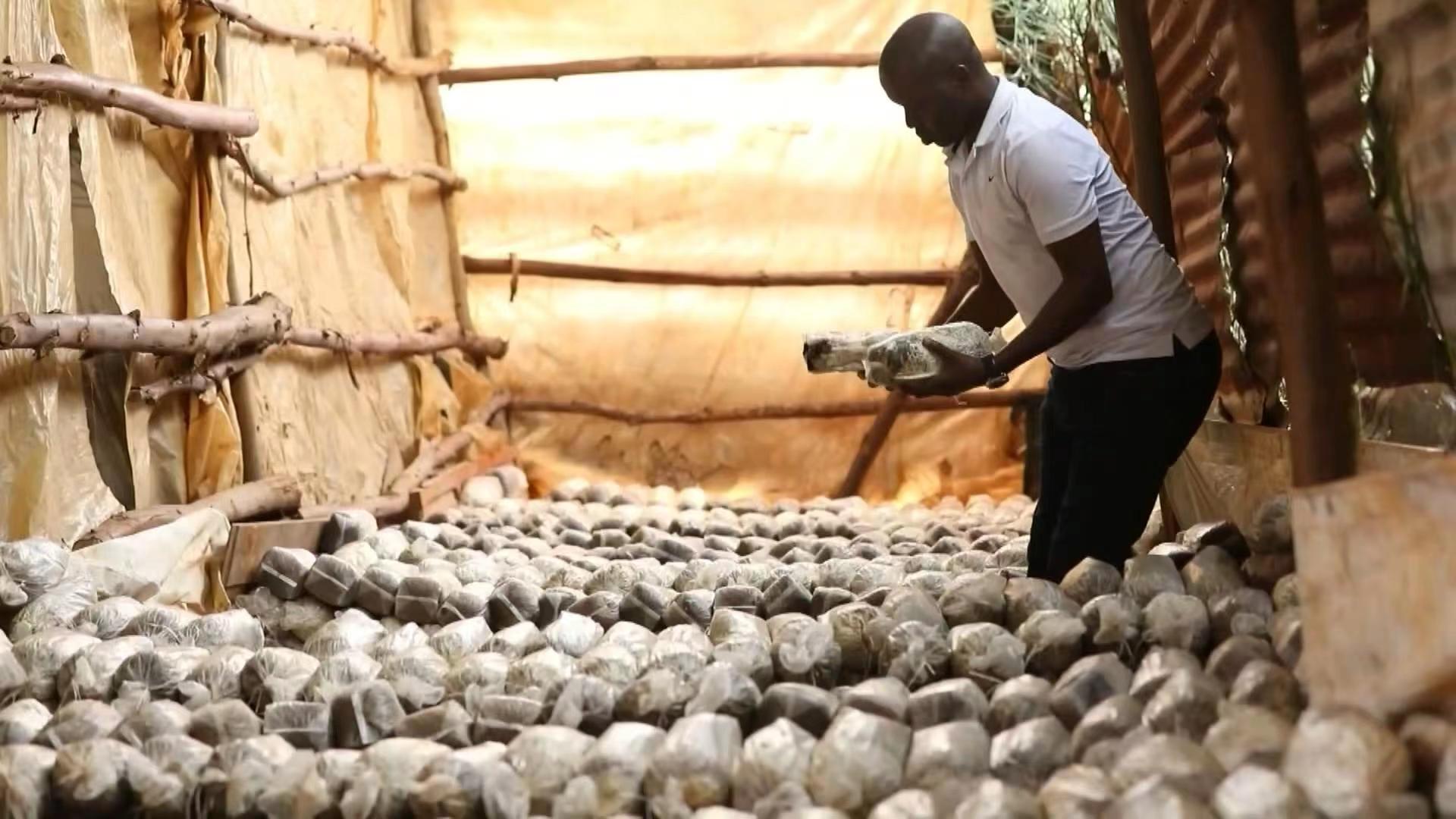 思想的力量丨时代之问 中国答案