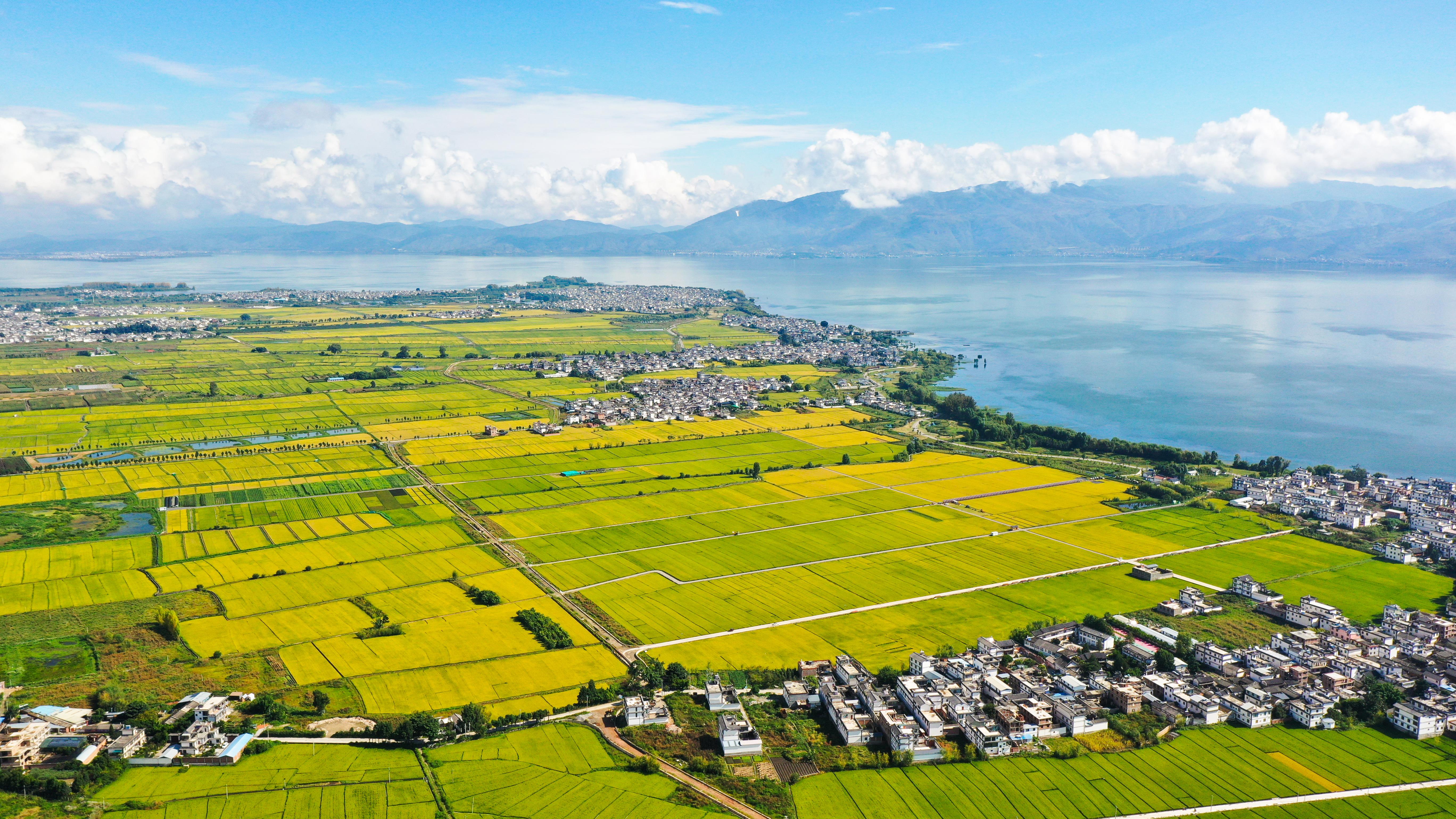 中国式现代化丨一件有深远影响的大事