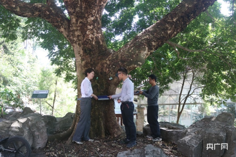 【大时代】广州:抢占数字经济“新蓝海” “千年商都”迸发新活力