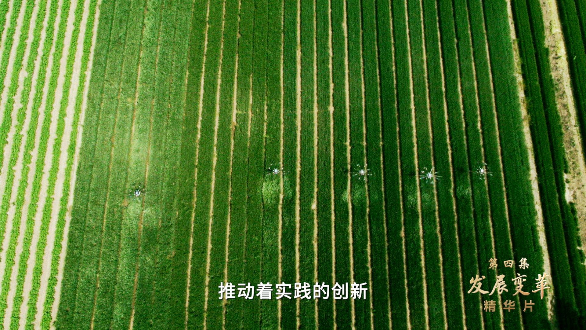 领航 | 第三集《逐梦先锋》、第四集《发展变革》速览