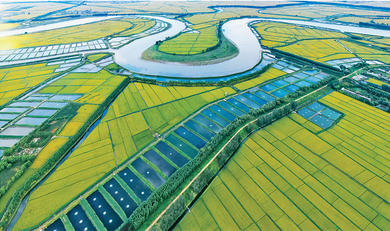 成就伟大事业方能实现伟大梦想