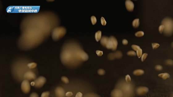 三集电视专题片《此水此山此地》今晚开播！