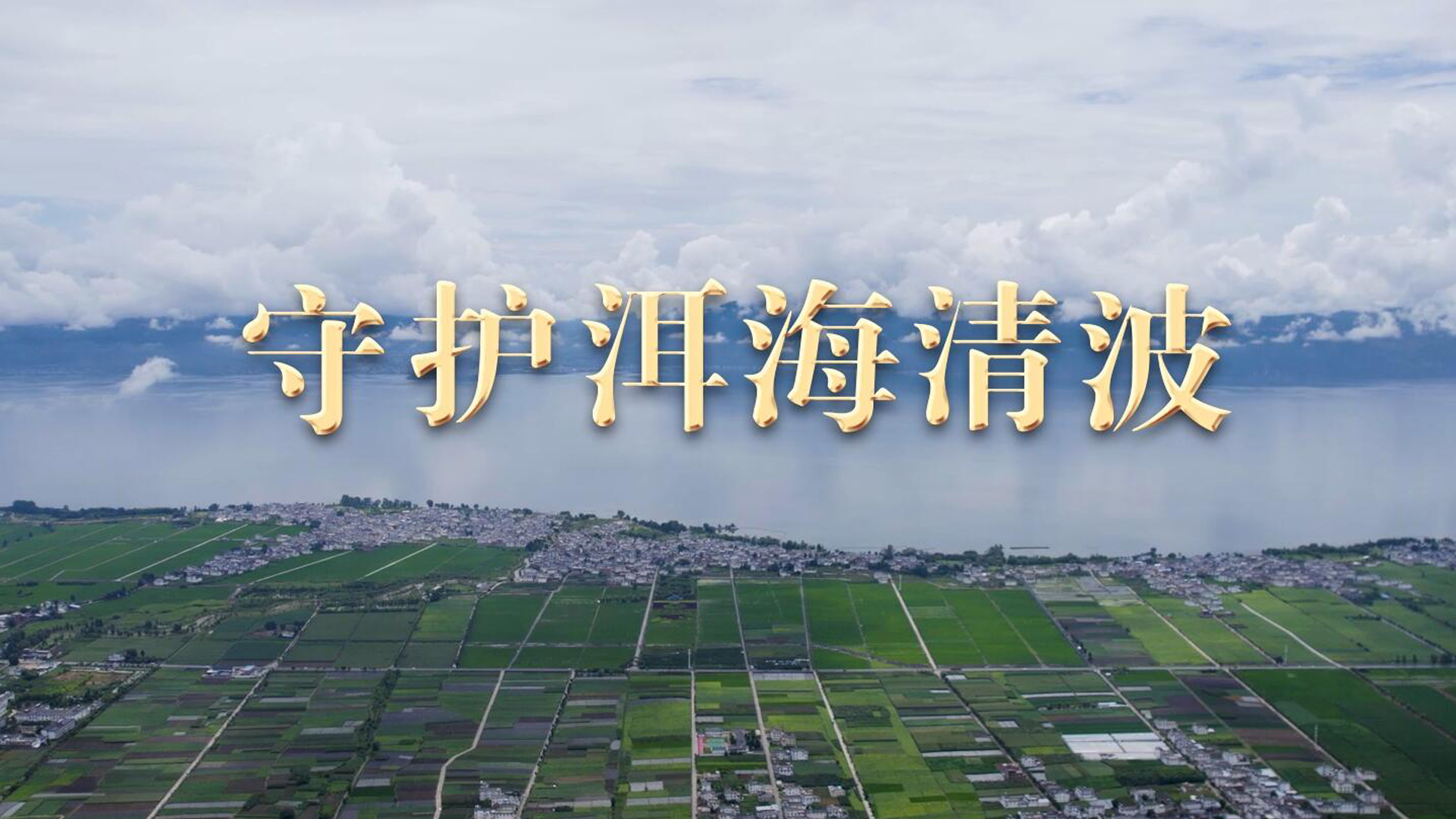 跟着总书记看中国｜守护洱海清波