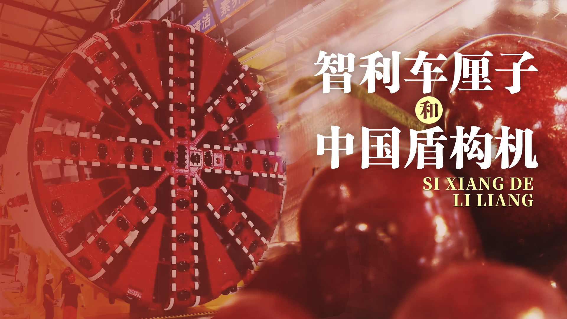 思想的力量丨智利车厘子和中国盾构机