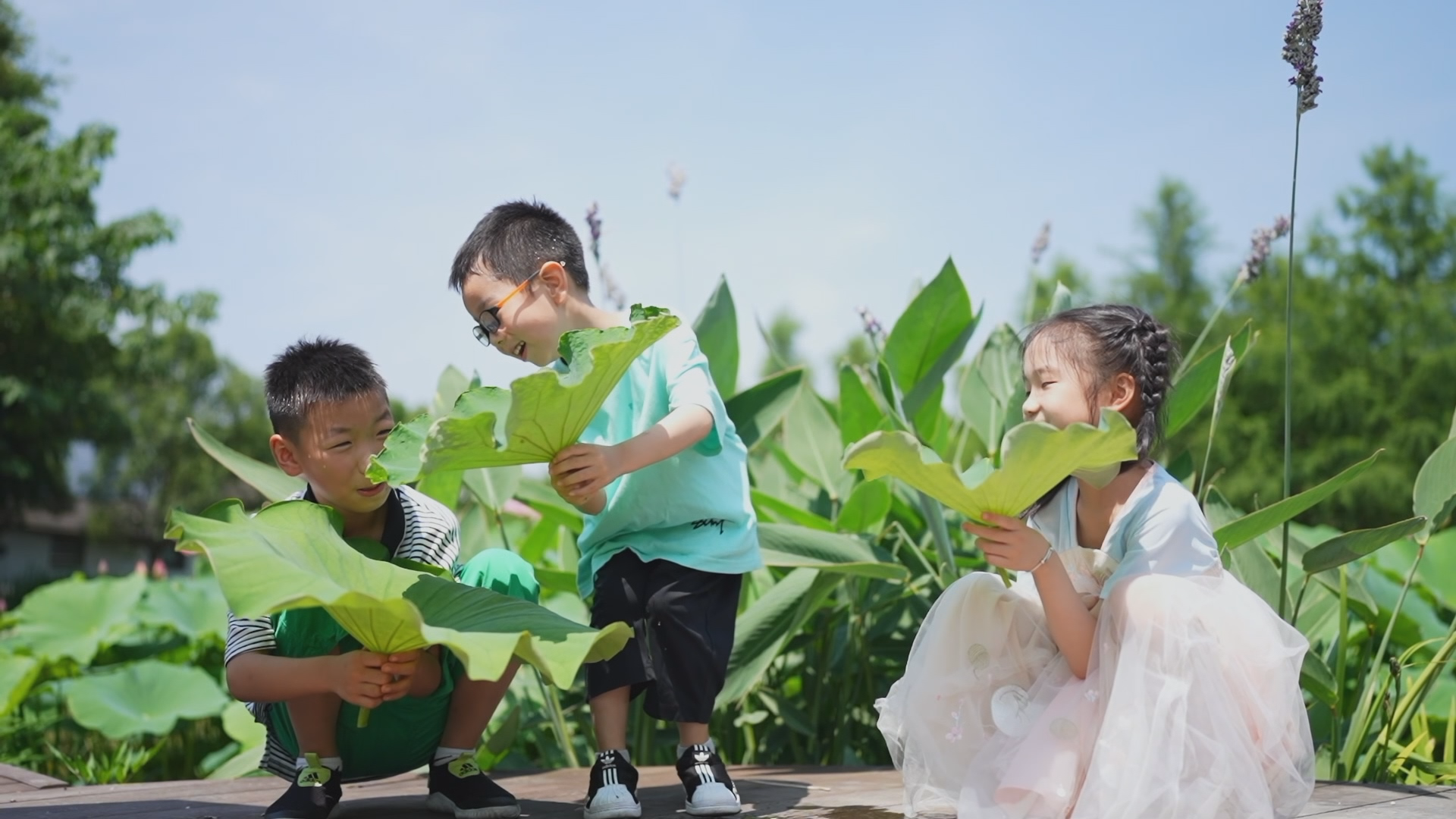 思想的力量丨绿色足迹