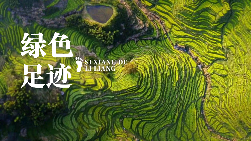 思想的力量丨绿色足迹