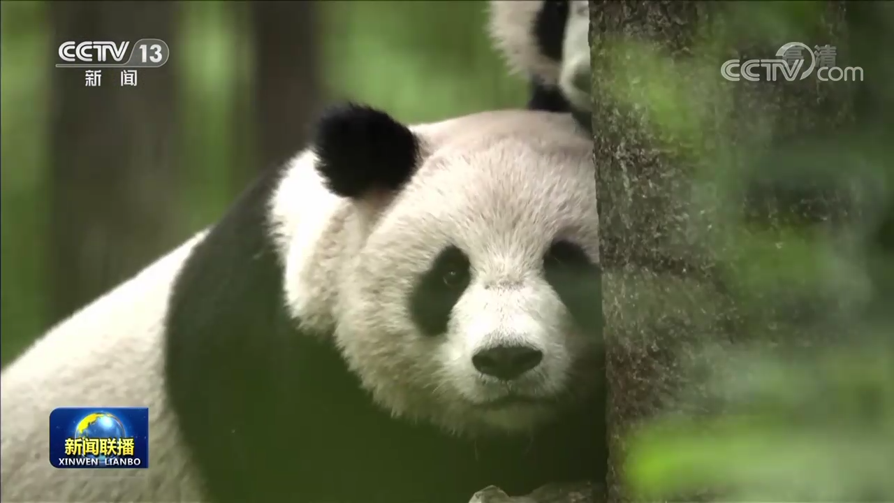 伟大复兴 壮丽航程 | 开启人与自然和谐共生的现代化新征程