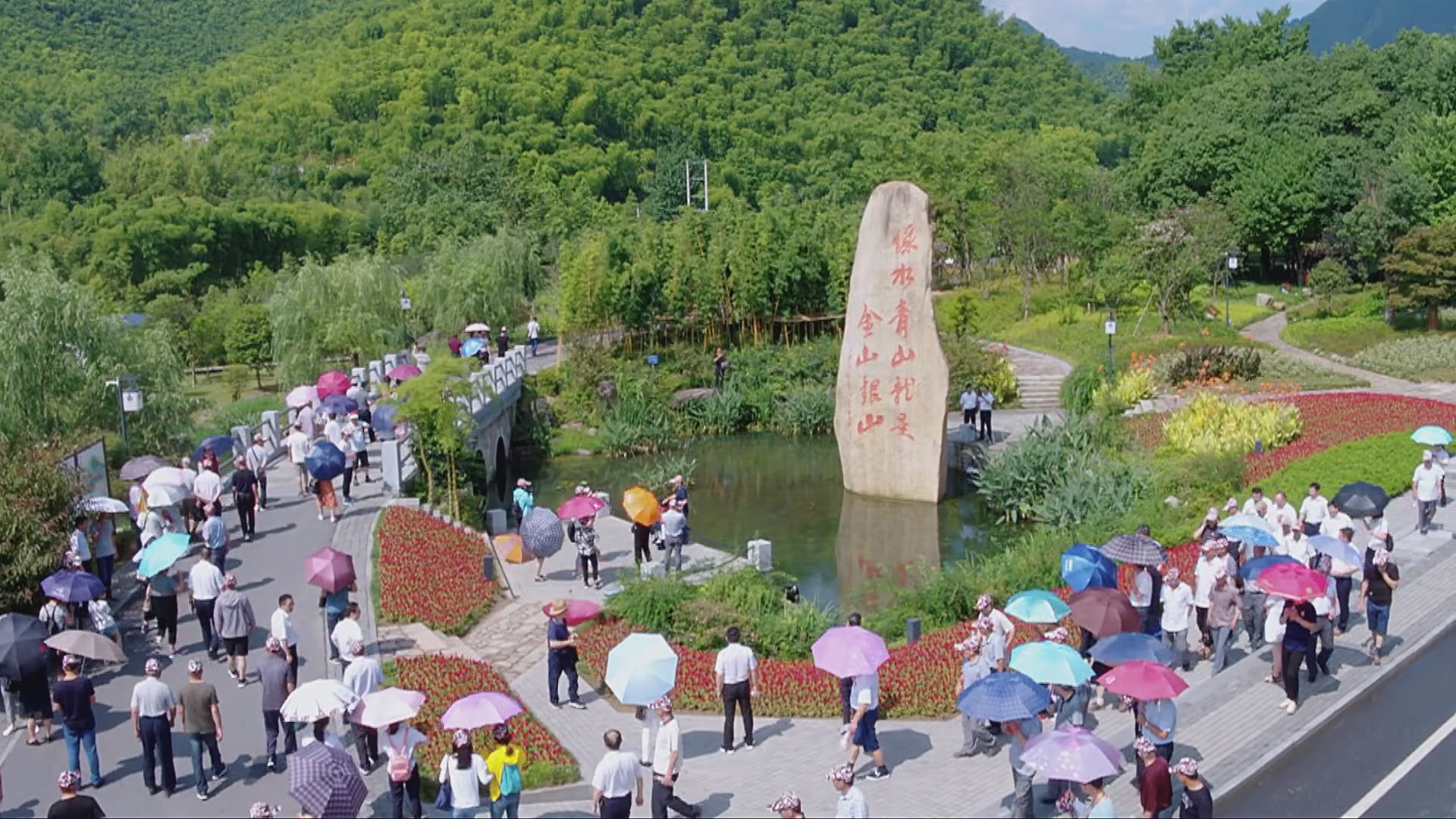 思想的力量丨绿色足迹