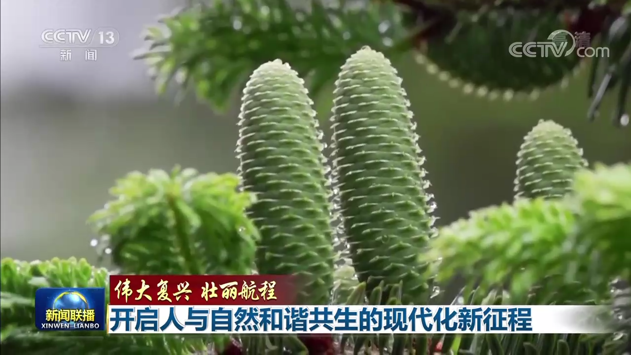 伟大复兴 壮丽航程 | 开启人与自然和谐共生的现代化新征程