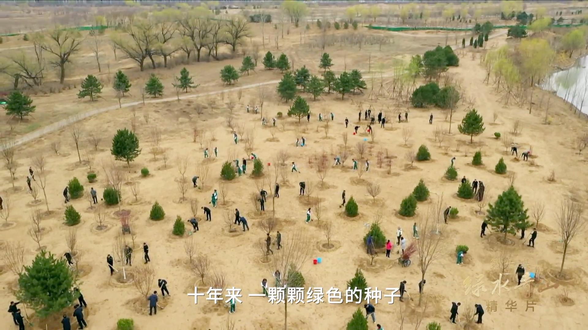 领航｜《美好生活》、《绿水青山》速览