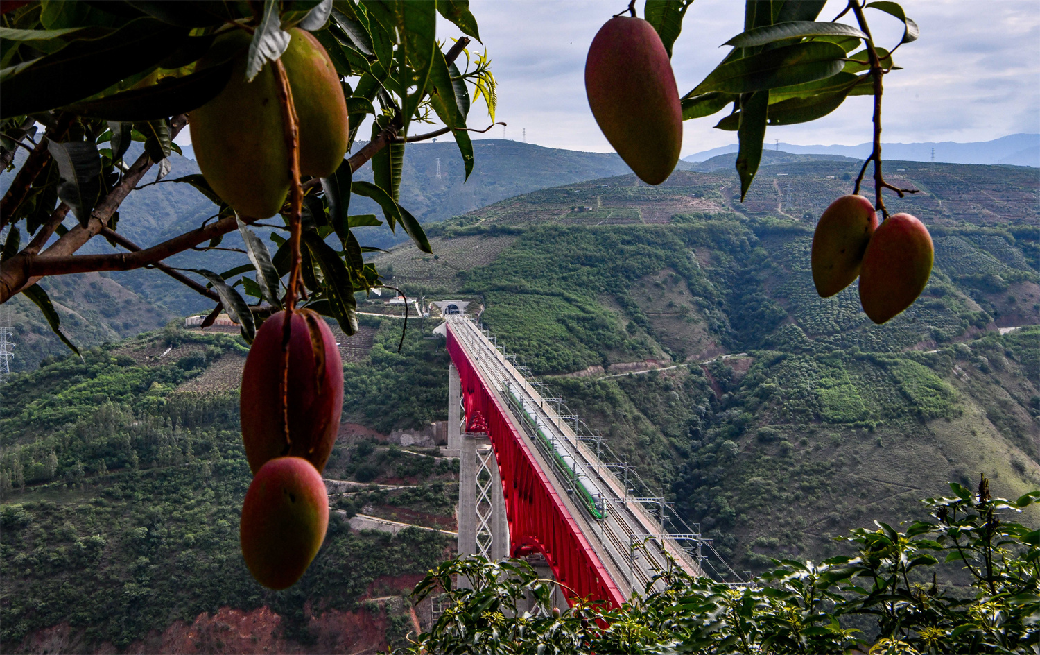 书写人类文明谱系的中国篇章