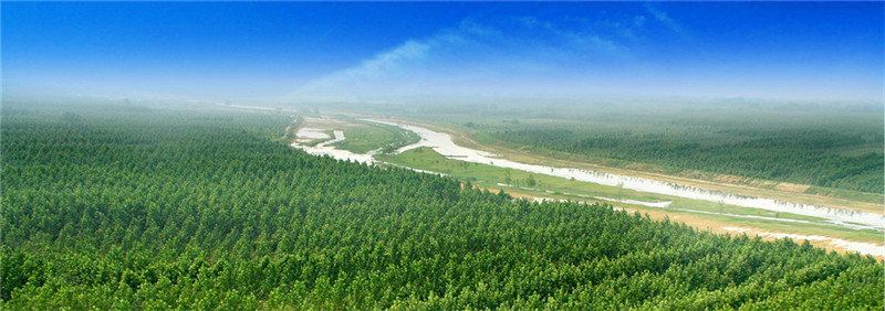 何言:思想伟力引领现代化出彩之路