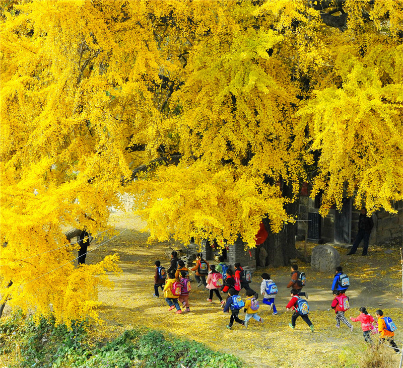 何言:思想伟力引领现代化出彩之路