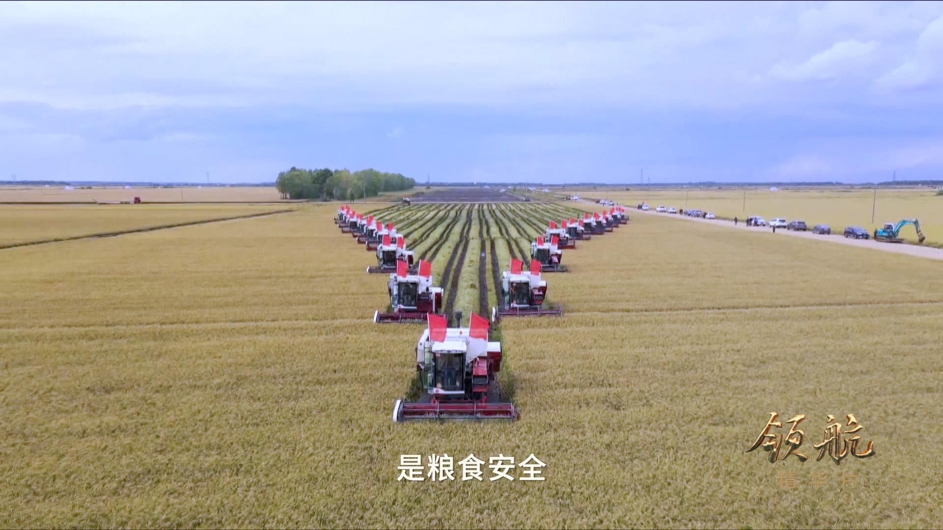 领航丨《强军之路》、《安邦基石》速览