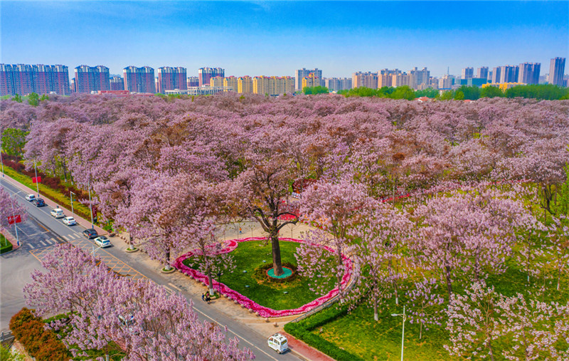 何言:思想伟力引领现代化出彩之路