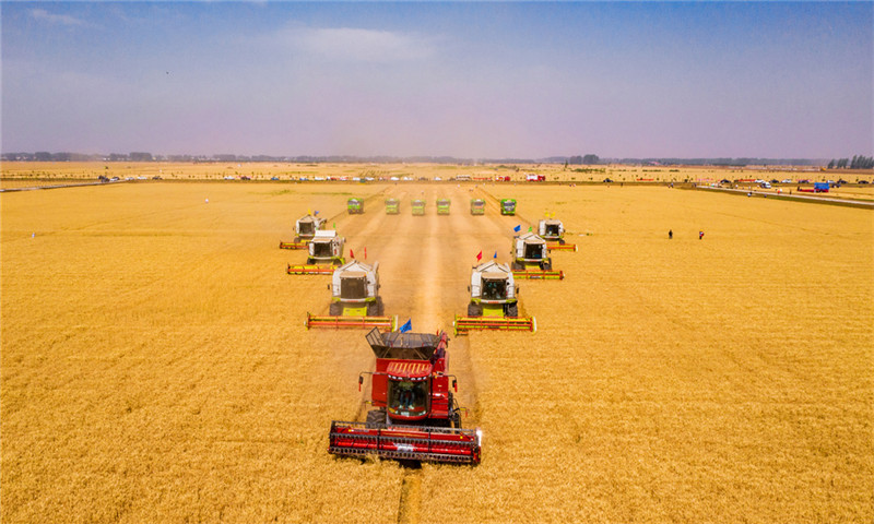 何言:思想伟力引领现代化出彩之路