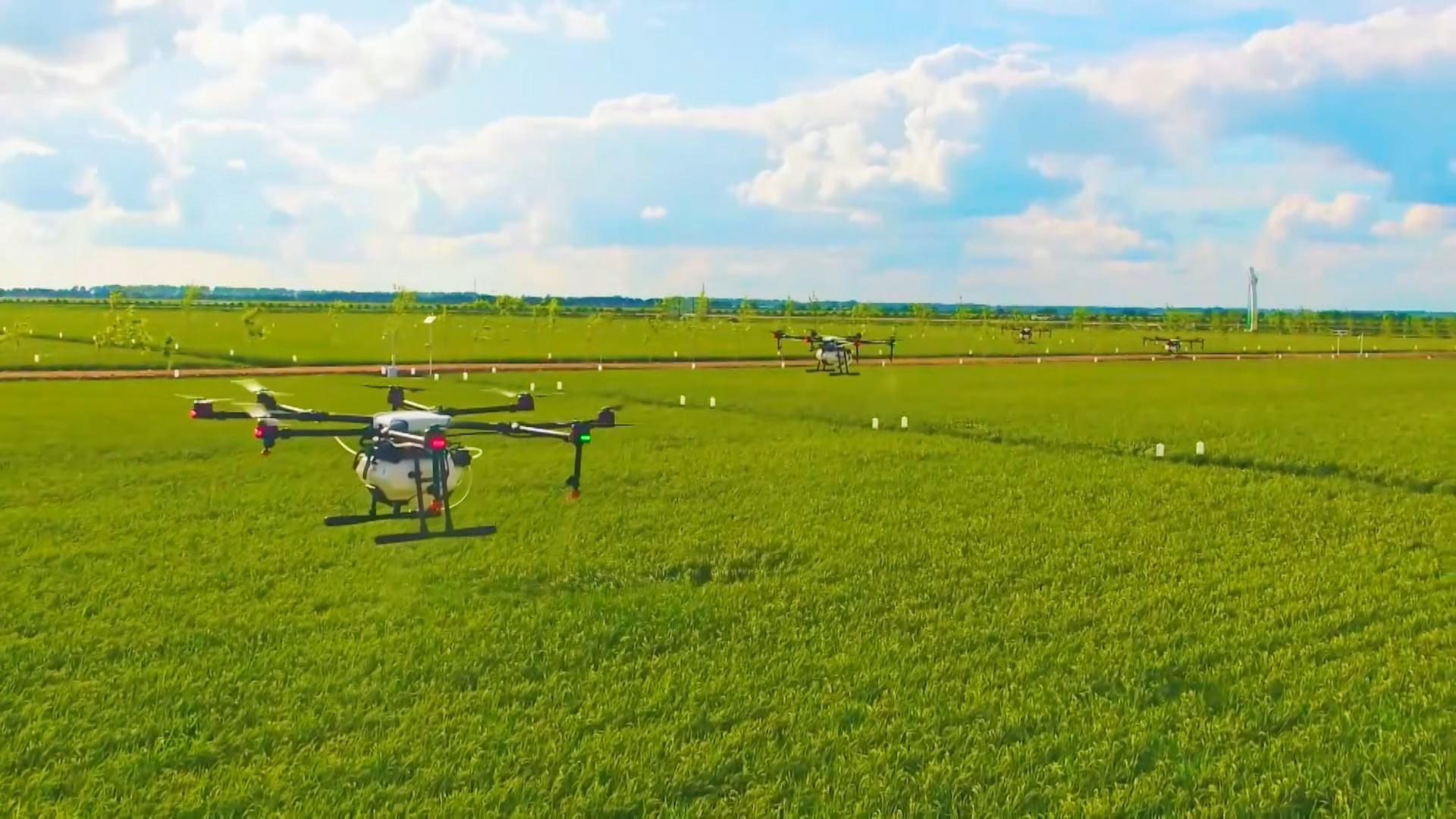 思想的力量｜粮安天下