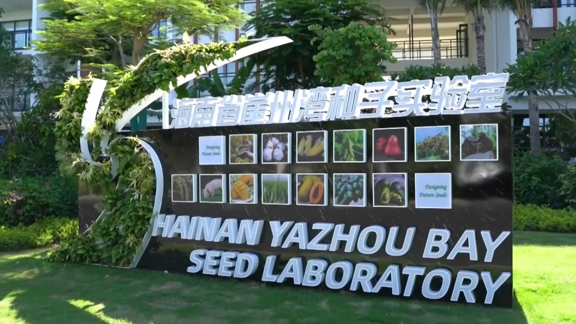 思想的力量｜粮安天下