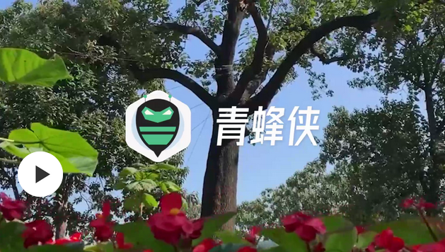 二十大时光丨兰考张庄村：牢记总书记嘱托，学好二十大报告，争当乡村振兴排头兵