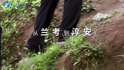 从兰考到淳安：读懂中国式现代化