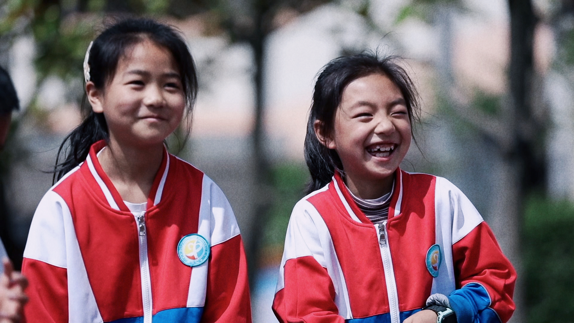 微视频｜十年&middot;心声