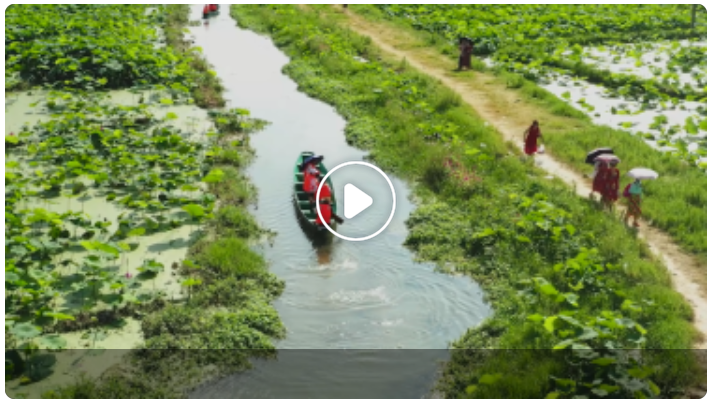 我们的二十大  |  十年青绿瞰中国