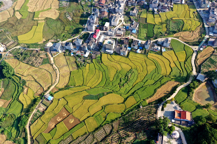 心声与掌声——聆听党的二十大报告