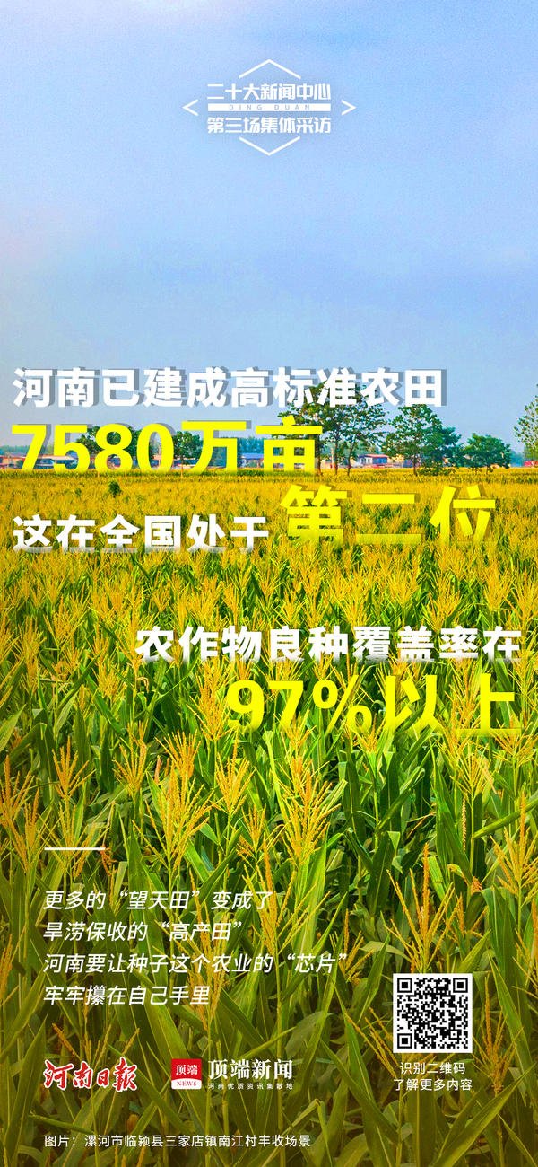 海报丨种好优质河南粮，奏响创新最强音