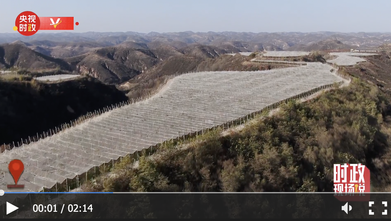 时政现场说丨察民情谋振兴 金秋漫山果飘香