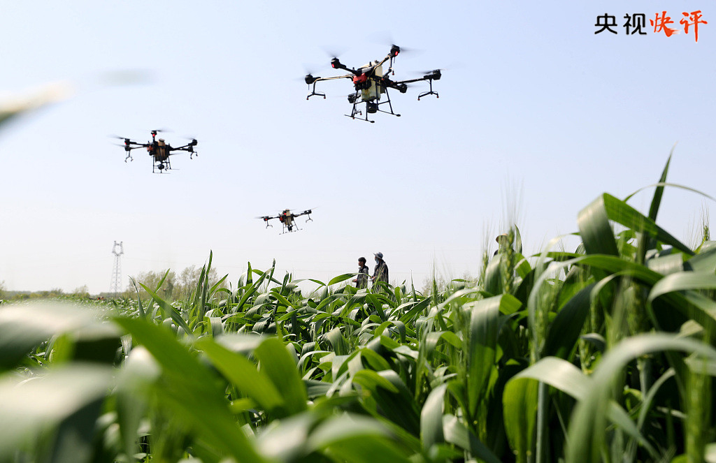 【央视快评】全面推进乡村振兴 为实现农业农村现代化而不懈奋斗