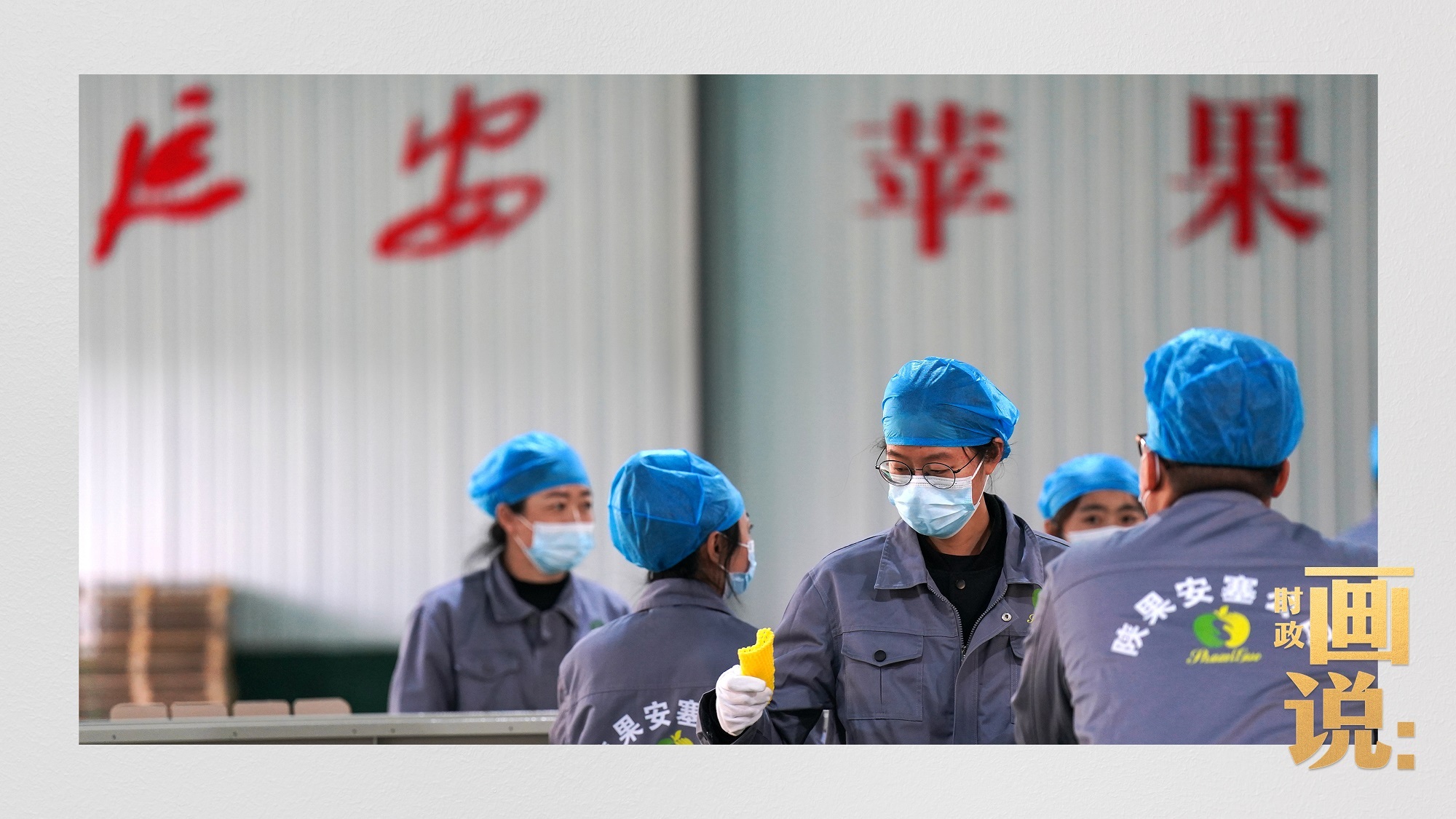 时政画说丨苹果熟了