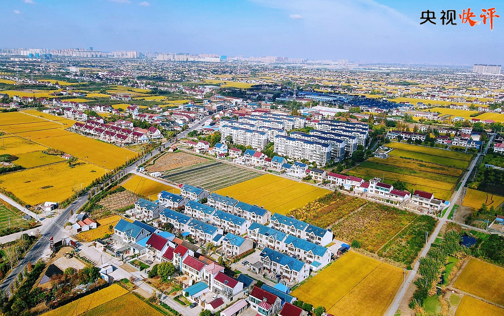 【央视快评】全面推进乡村振兴 为实现农业农村现代化而不懈奋斗