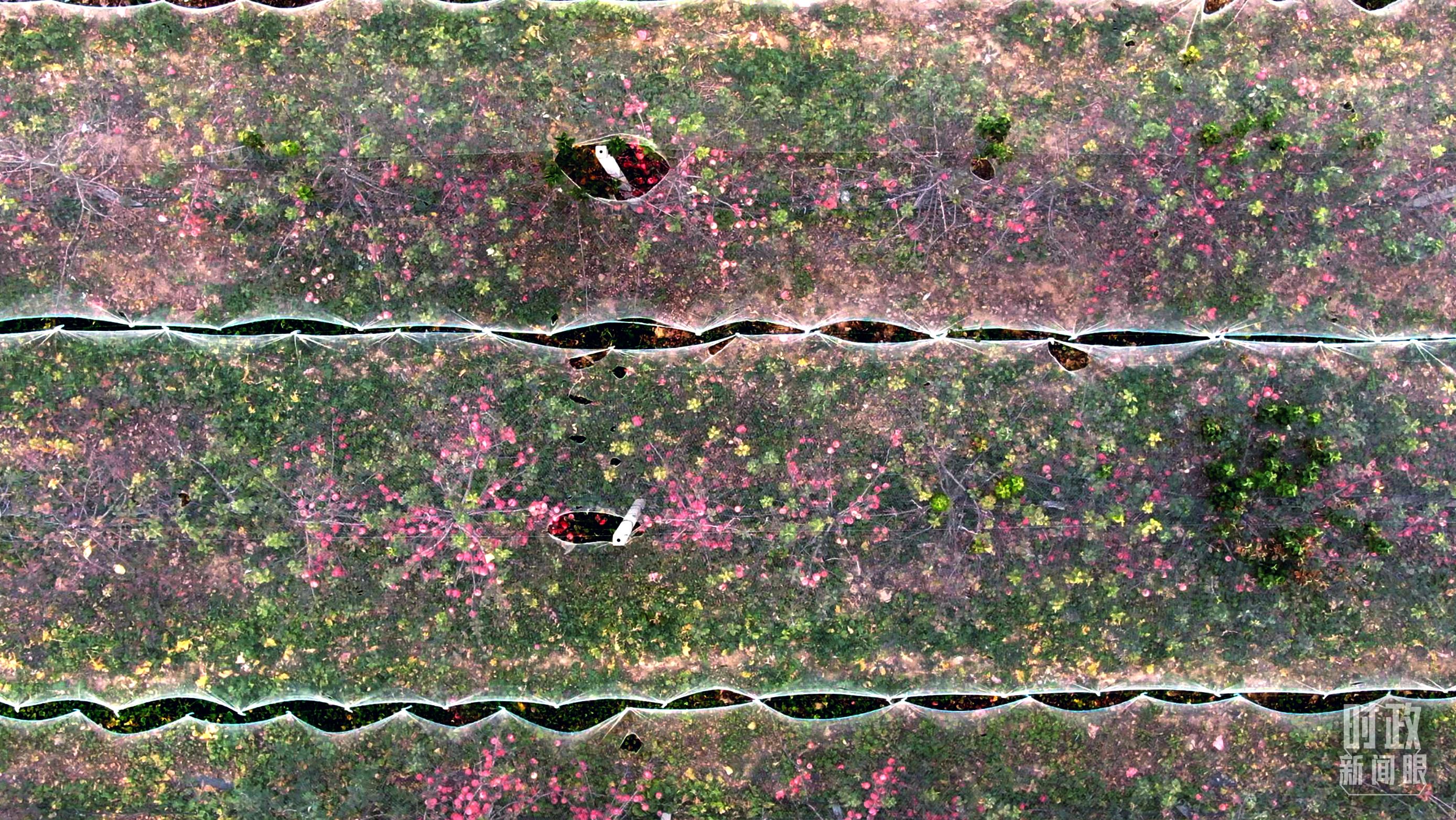 时政新闻眼丨党的二十大后首次国内考察，习近平为什么来到这两个地方？