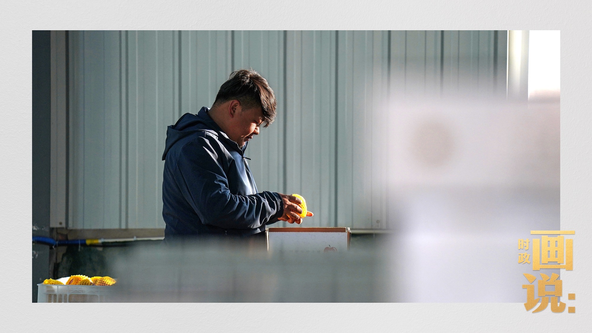 时政画说丨苹果熟了